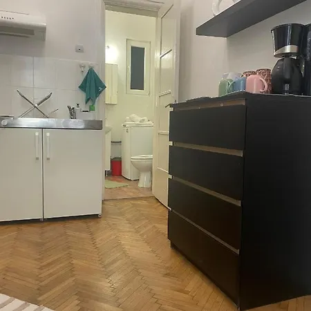 Cozy Studio Near Cismigiu Park Apartment *